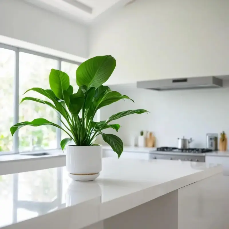 Растения для кухни: выбор, уход и процветание